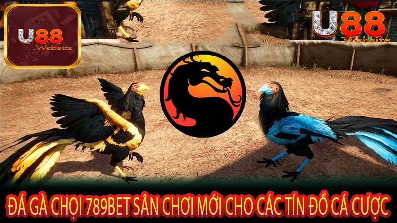 Đá Gà Chọi 789Bet Sân Chơi Mới Cho Các Tín Đồ Cá Cược